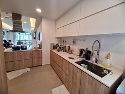 Signature Park (D21), Condominium #501777671